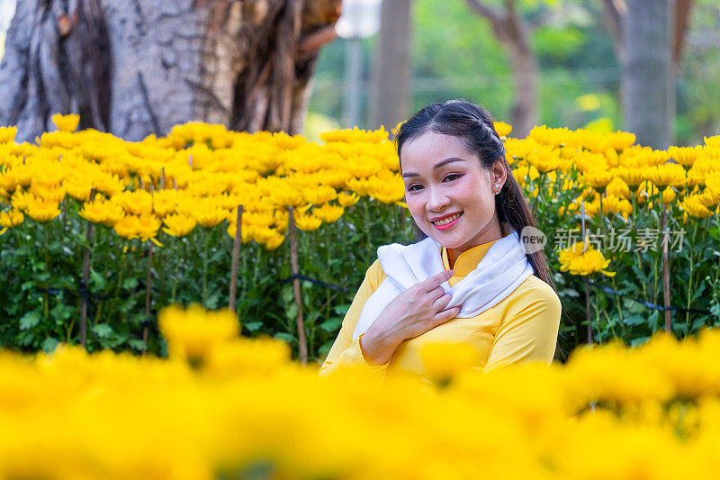 越南女孩穿着传统的ao dai服装，手持花枝在越南享受新年。春节和新年。